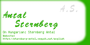 antal sternberg business card